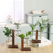 Wooden Stand Hanging Glass