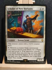 Scholar of New Horizons -