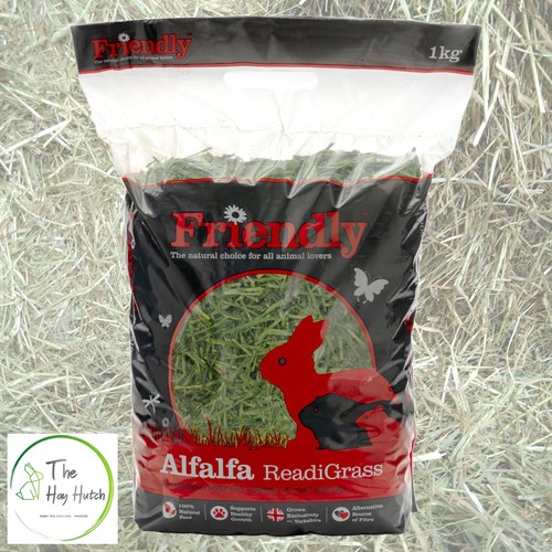 Friendly alfalfa readigrass - alfalfa,