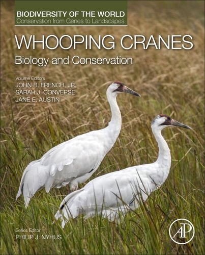 Whooping cranes biology and - whooping, cranes: