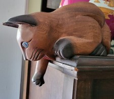 CAT shelf sitter reaching for