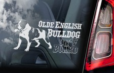 OLDE ENGLISH BULLDOG Car