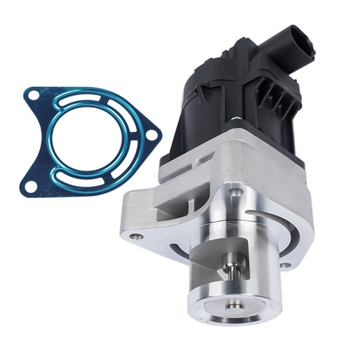 Egr valve for - egr,