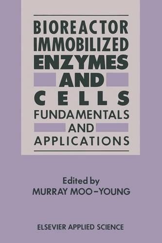 Bioreactor immobilized enzymes - immobilized,