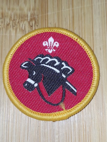 Scouting cub scout activity - uk,