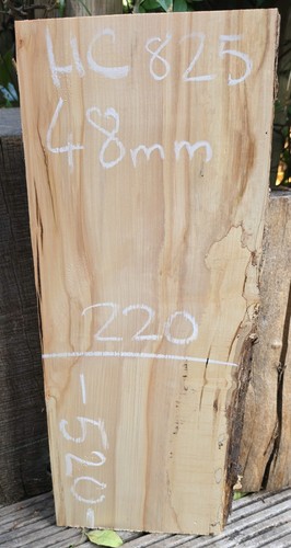Spalted chestnut live - live, edge