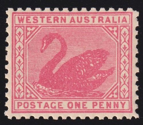 Acsc w14b 1906 a 1d - 1906, rose