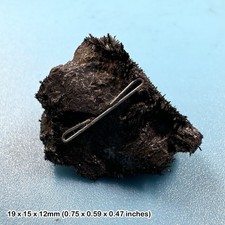 Magnetic lodestone crystal -