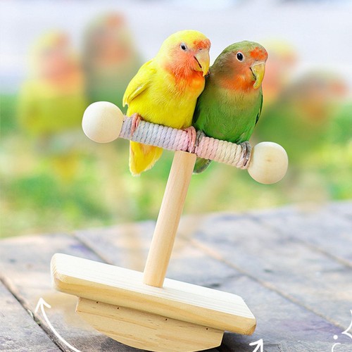 Bird training stand tabletop - training,