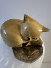 Sleeping Curled Up Wade