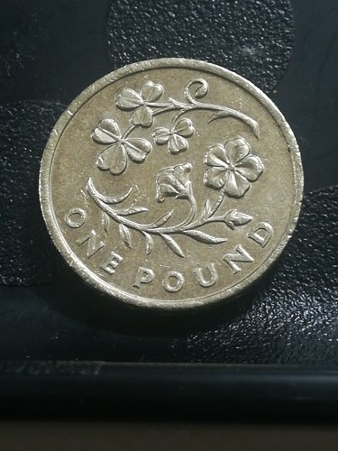 Rare one pound coin - one,