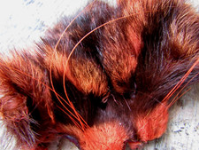 IFS Raccoon Mask - Solar