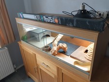 Viv Set Up