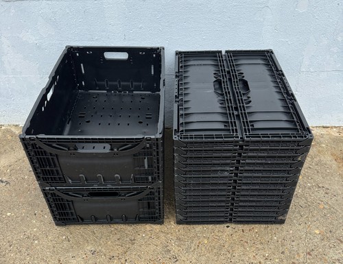 Collapsible plastic - 10, x