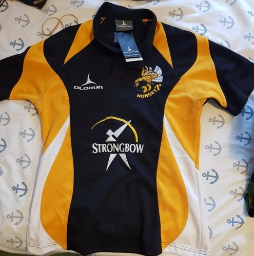 Hamilton hornets rugby shirt - hornets,