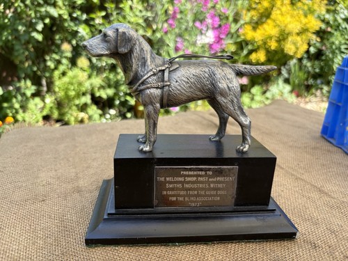 Guide dogs for - dogs, the