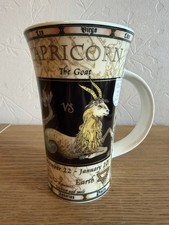 Capricorn Zodiac Star Sign