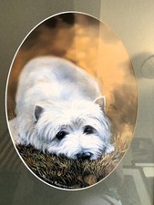 'West Highland Terrier Dog'