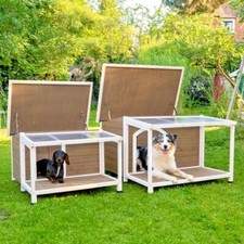 Outdoor Dog Kennel Outside