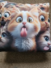 Cute Cat Cushion