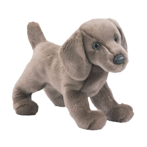 Douglas cassie weimaraner - cassie,