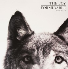THE JOY FORMIDABLE WOLF'S LAW