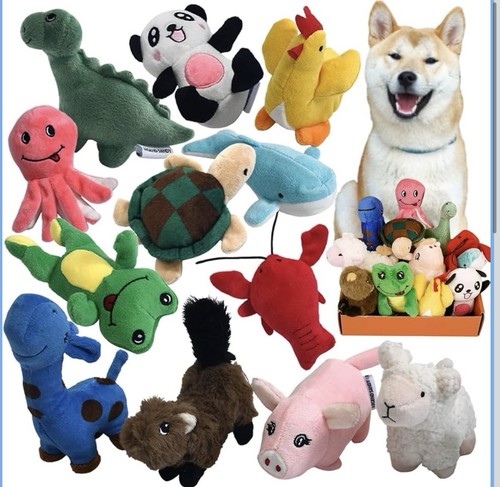 Squeaky plush dog toy - squeaky, for