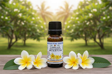 Indonesian Frangipani