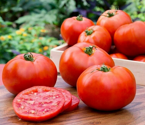 Homestead tomato seeds - 15,