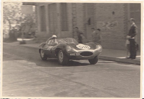 Jaguar type ecurie ecosse - d-type,