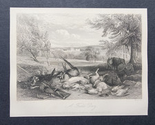 Antique 1843 print shooting - print,