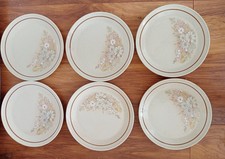 Set of 6 Royal Doulton Florinda 22cm plates