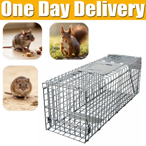 Cat trap large animal - 24",