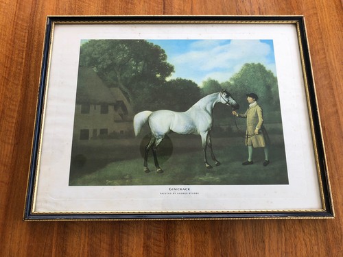 Framed print gimcrack - framed,