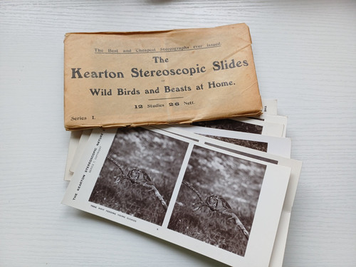 Antique kearton stereoscopic - antique,
