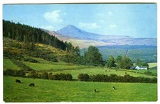 1970's Postcard - View of