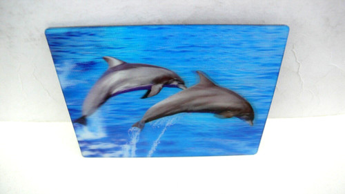 Dolphin fridge magnet - dolphin,
