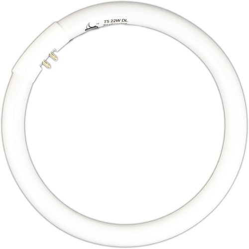 22w fluorescent round - t5,