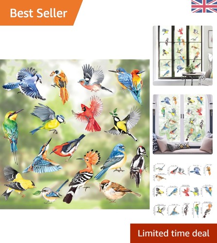 Vibrant double sided - vibrant, bird