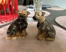 Boxed new  Border Terrier Salt