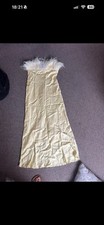 Zara Satin Feather Dress