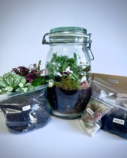 DIY Terrarium Full Kit With