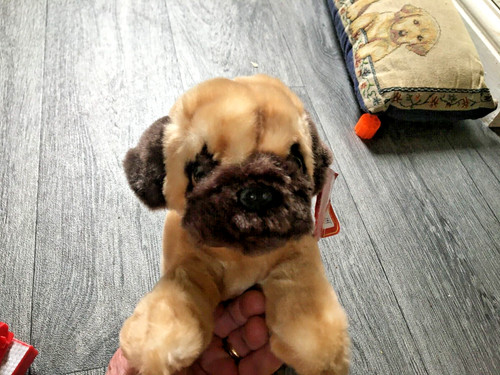 Pug keel soft - ,