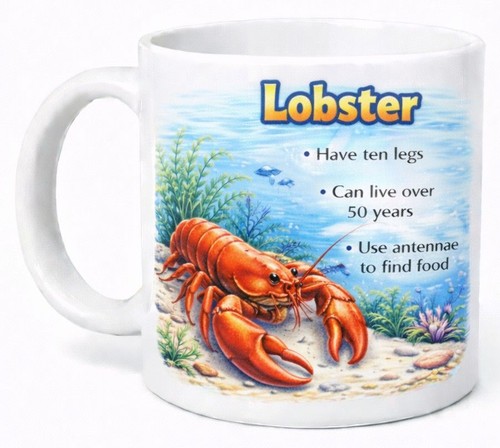 Lobster educational marine - lobster,