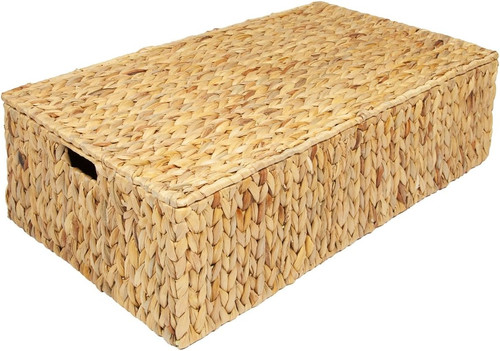 Water hyacinth under bed - hyacinth,