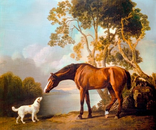 Bay horse and white dog - horse,