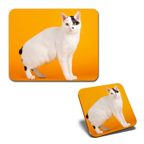 Mouse mat 1 square coaster - mouse,