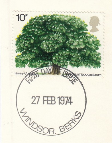 Horse chestnut tree used - chestnut,