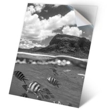 1 x Vinyl Sticker A2 - BW - Underwater Cave Scuba Diving Diver Dive #43690