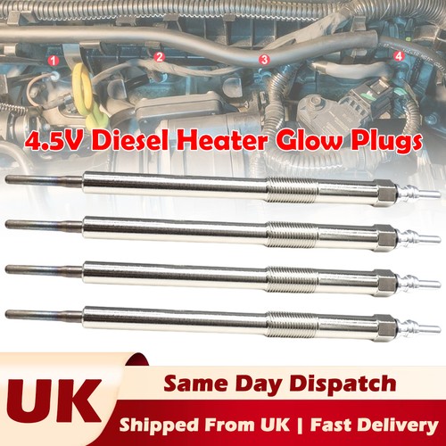 Heater glow plugs diesel - plugs,